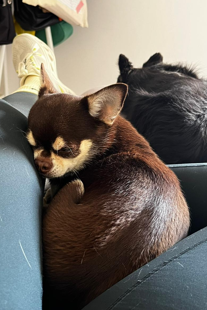 Foto de Otto