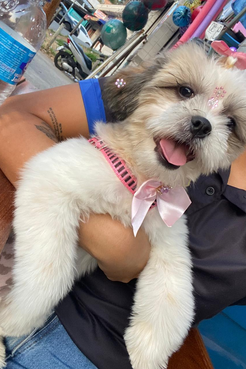 Foto de Lupita