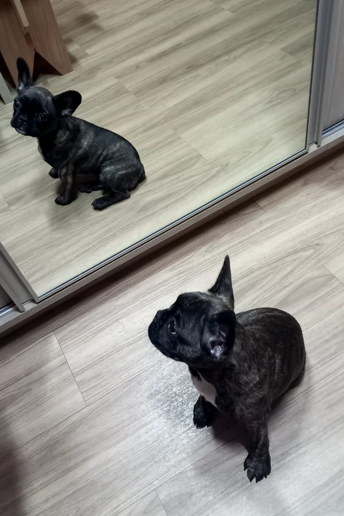 Foto de Nina