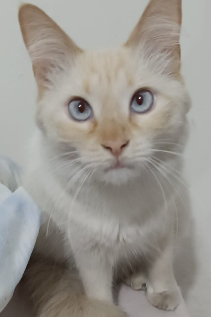 Foto de Mimi