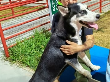 Foto de Belinha