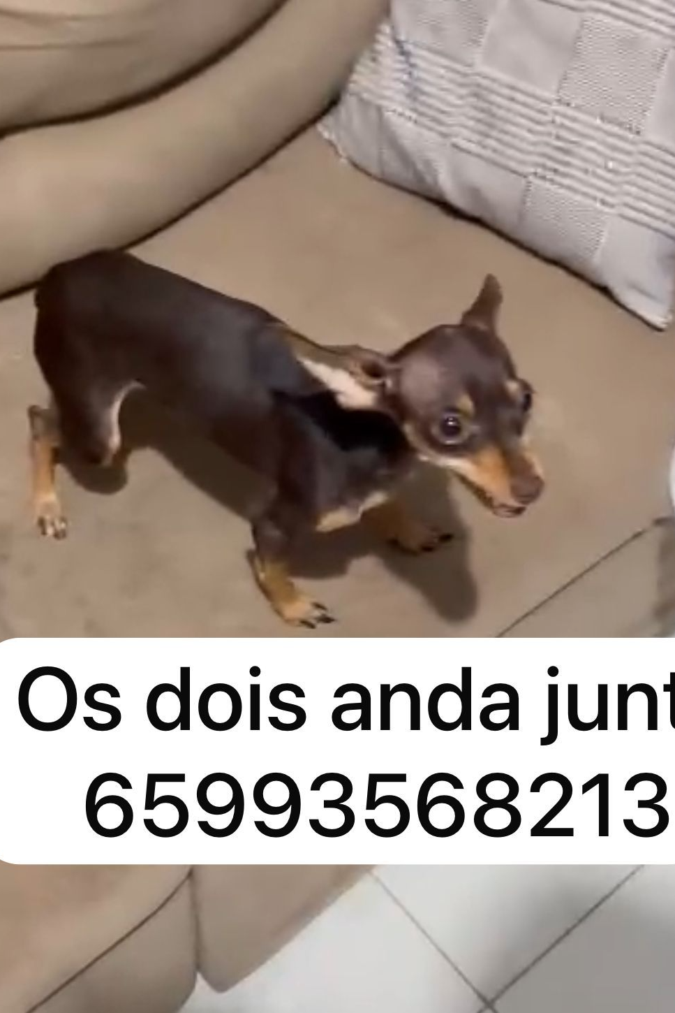 Foto de Sol e diamante