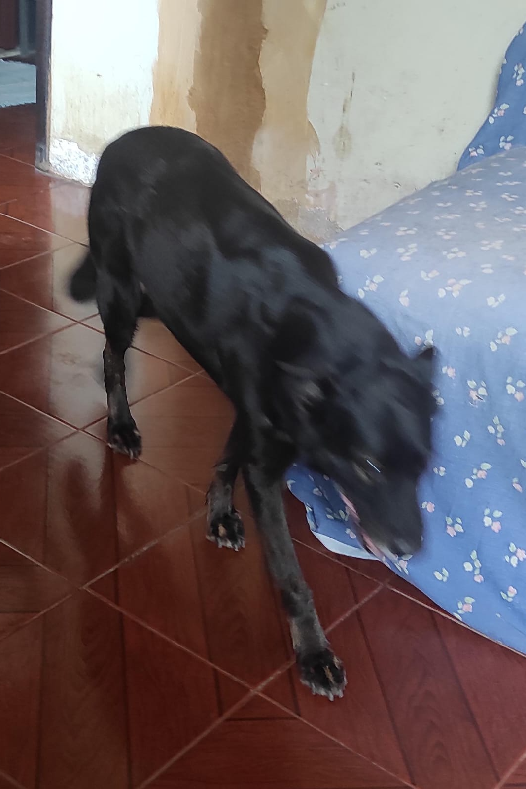 Foto de LULA