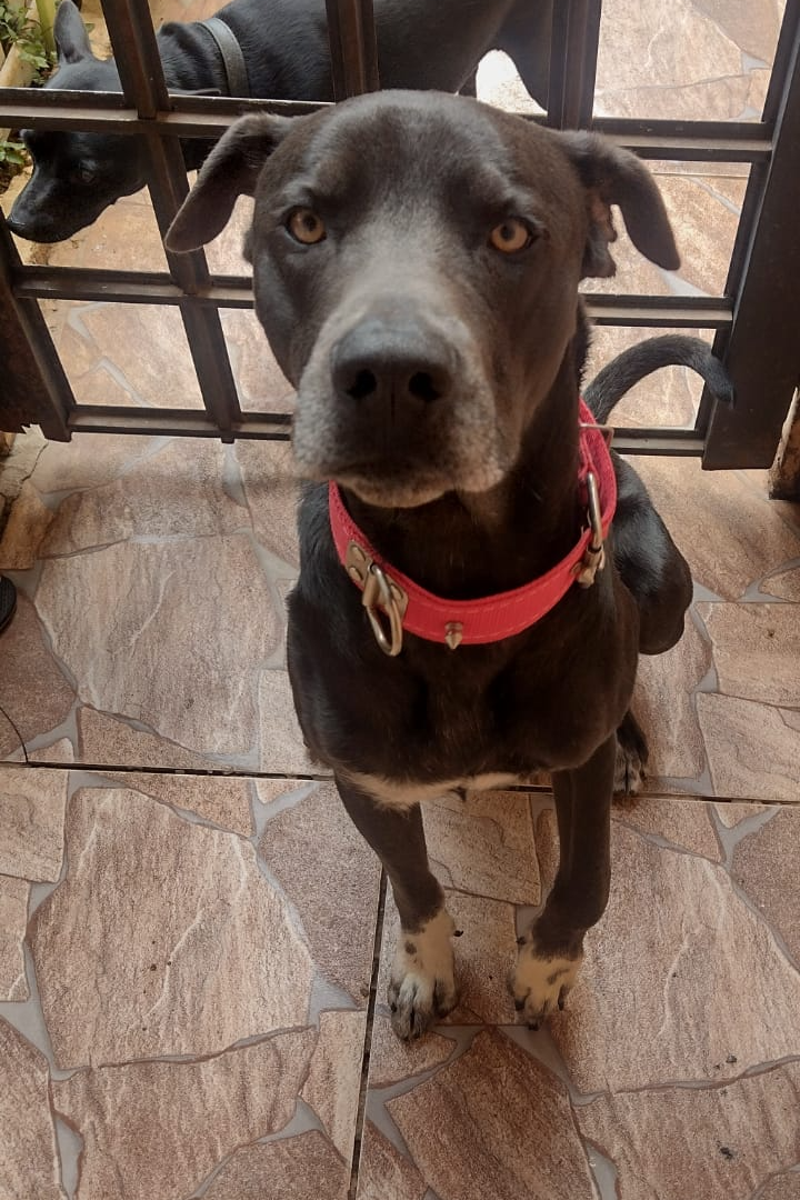 Foto de Xadhor
