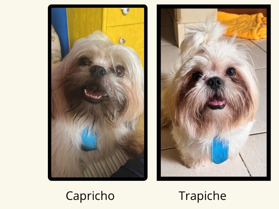 Foto de Capricho e Trapiche