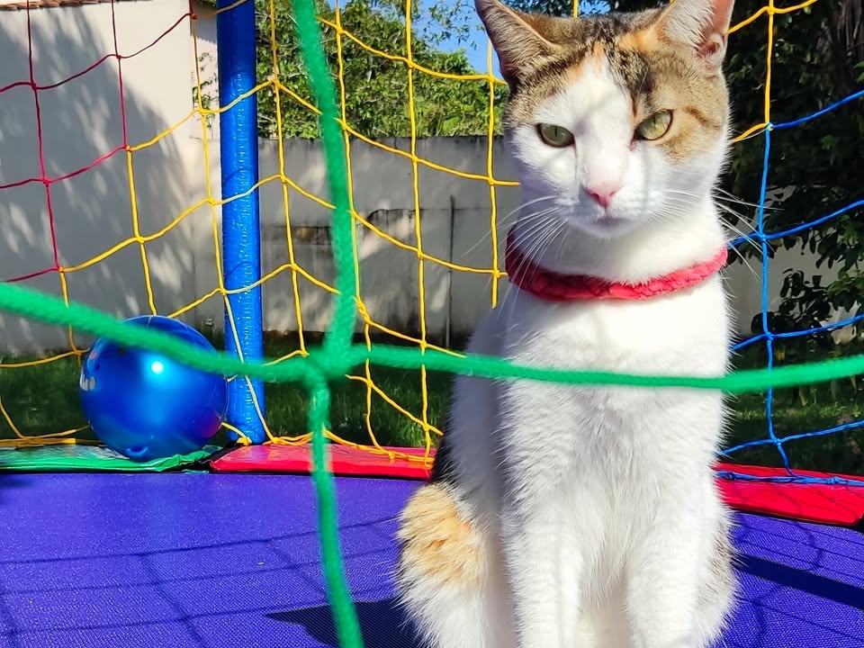 Foto de BIA