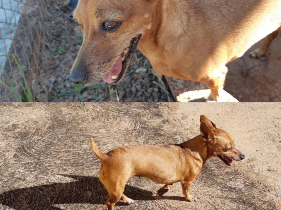Foto de Neguinha