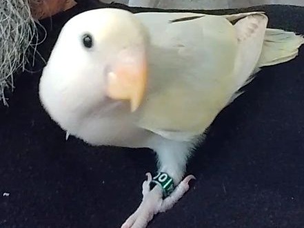Foto de Ariel