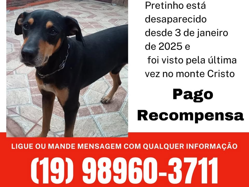 Foto de Pretinho