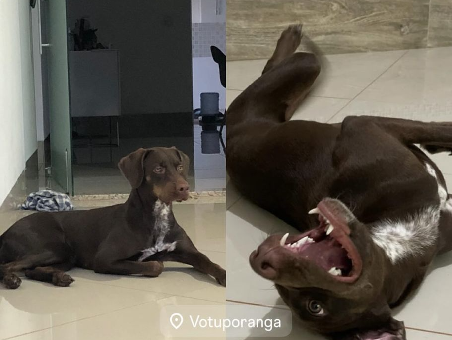 Foto de Capitu