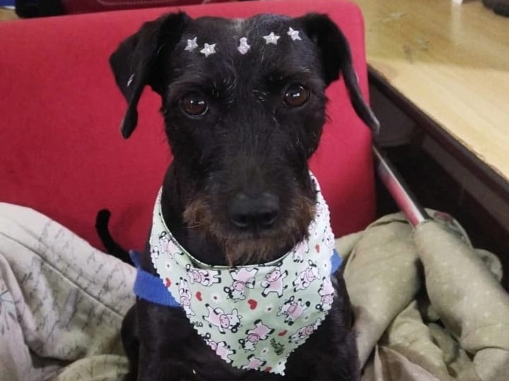 Foto de Frida
