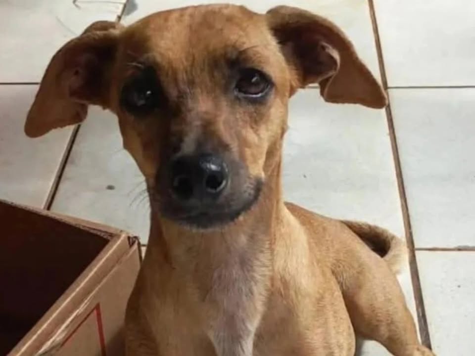Foto de MENININHA
