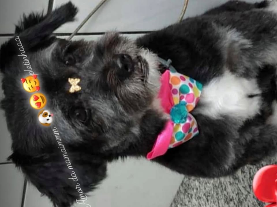 Foto de Belinha