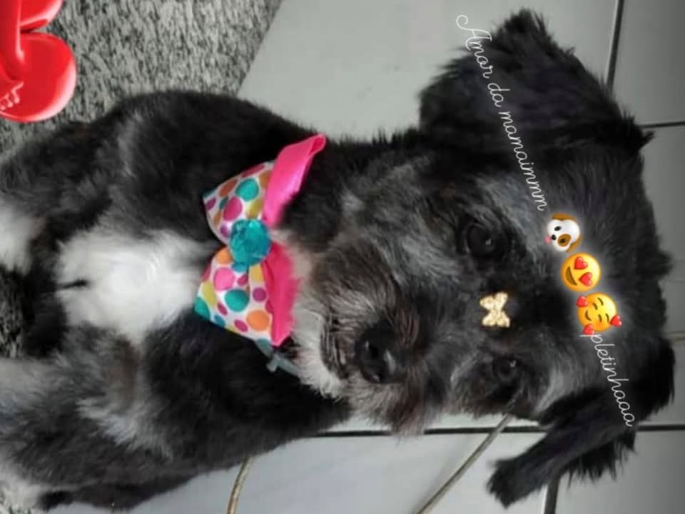 Foto de Belinha