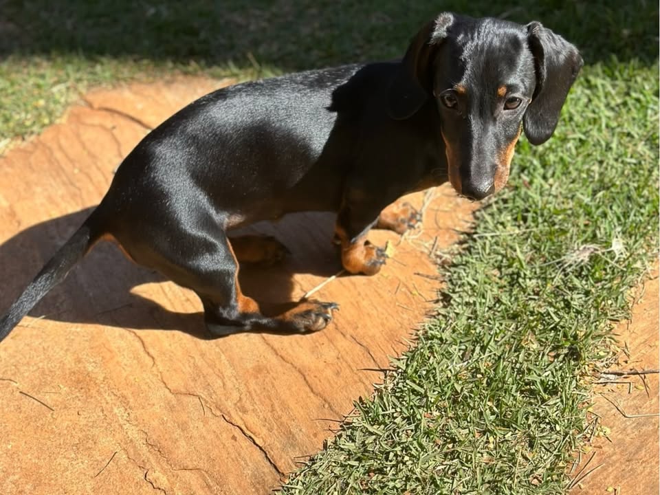 Foto de Lunna