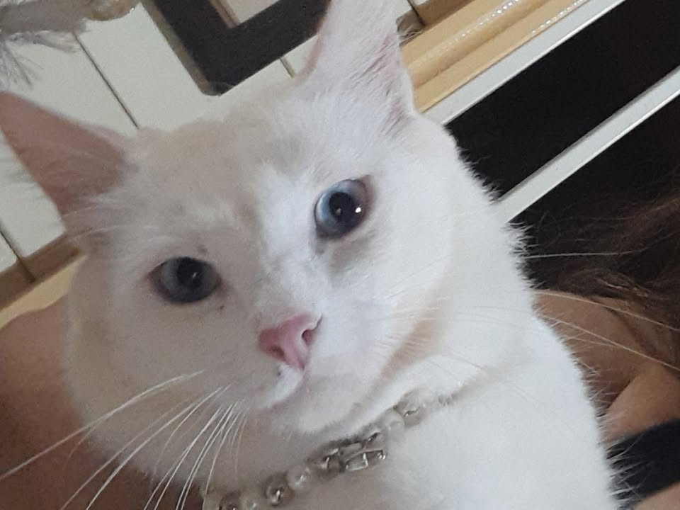 Foto de Bia