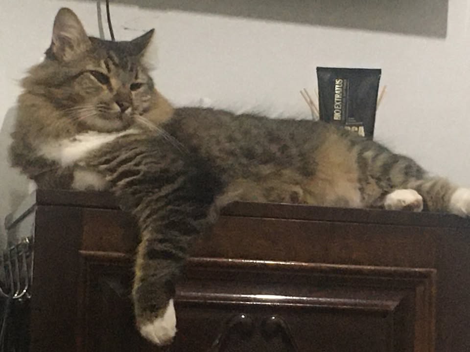 Foto de Fabio Jr/ Binho