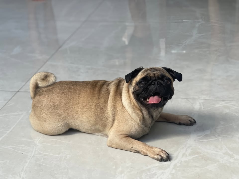 Foto de Fiona
