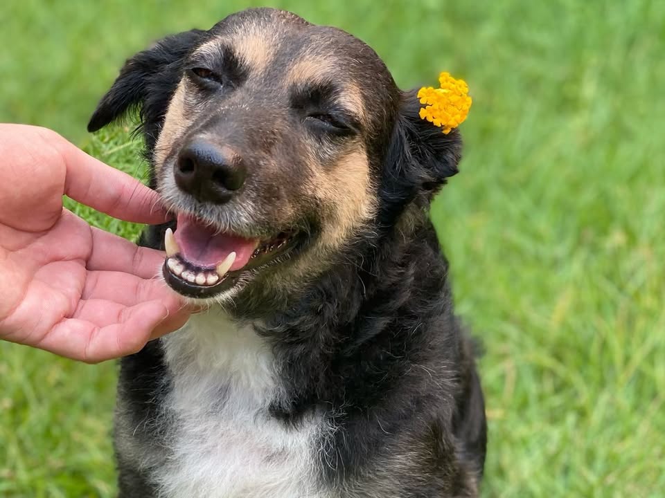 Foto de Lola