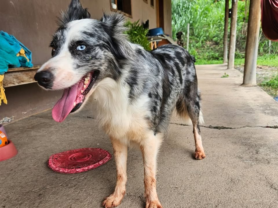 Foto de Ivy