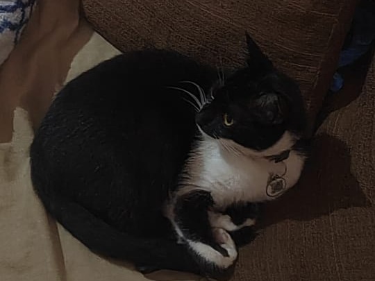 Foto de Mia
