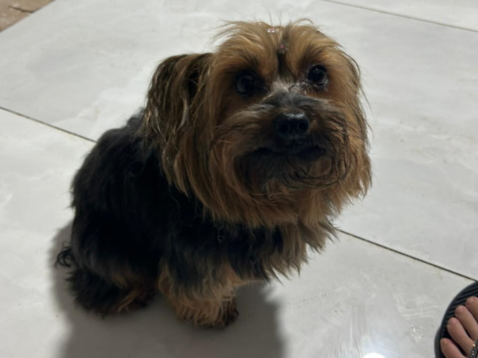 Foto de Chiquita