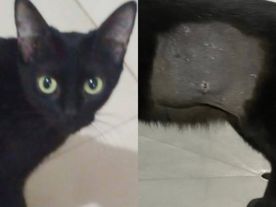 Foto de Neguinha