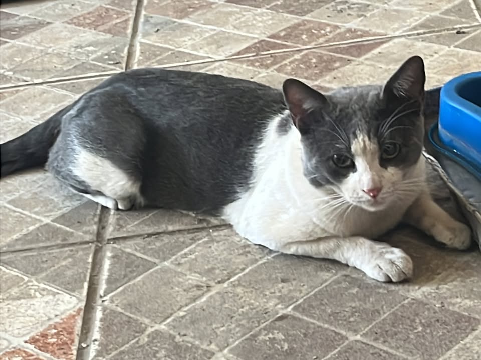 Foto de Francisco