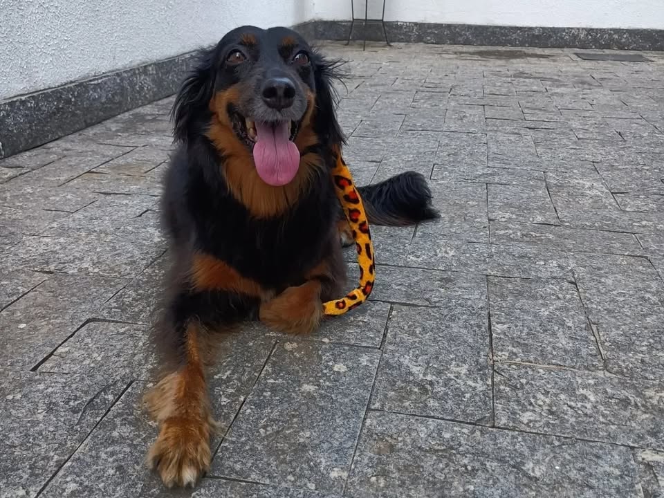 Foto de Fiona