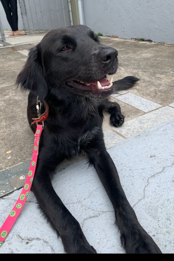 Foto de Zeca