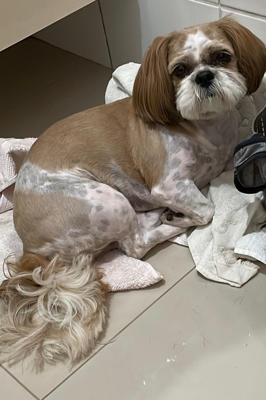 Foto de Lola