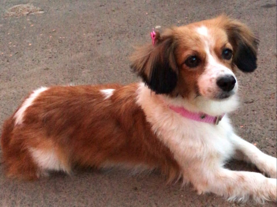 Foto de Malu