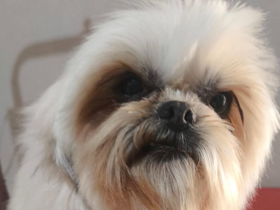 Foto de Marshall