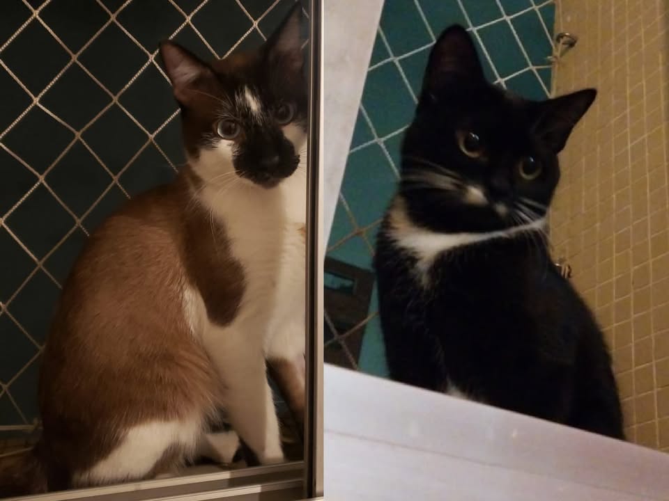 Foto de Benedito E Mirana