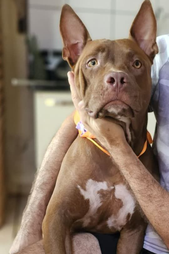 Foto de Sofia