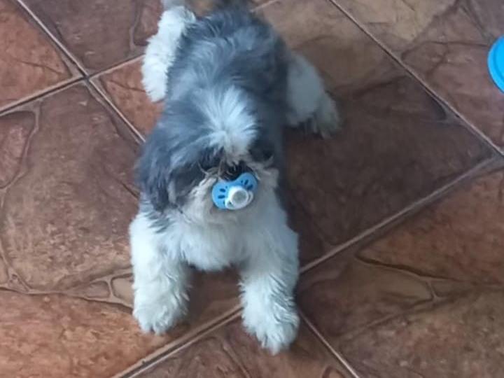 Foto de Sem nome