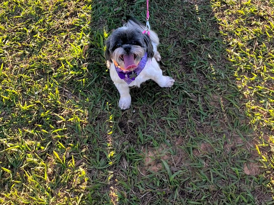 Foto de LILI