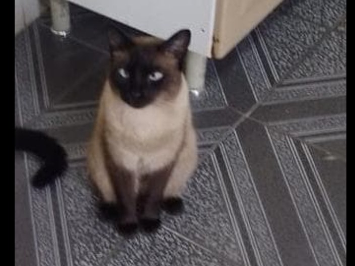 Foto de Dudu