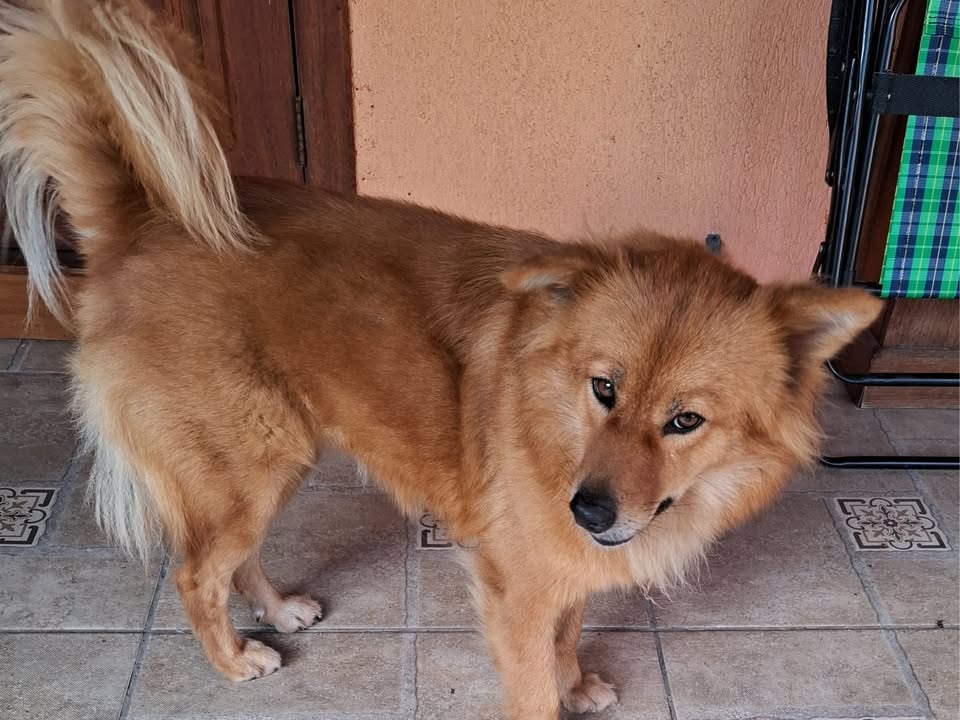 Foto de Frida
