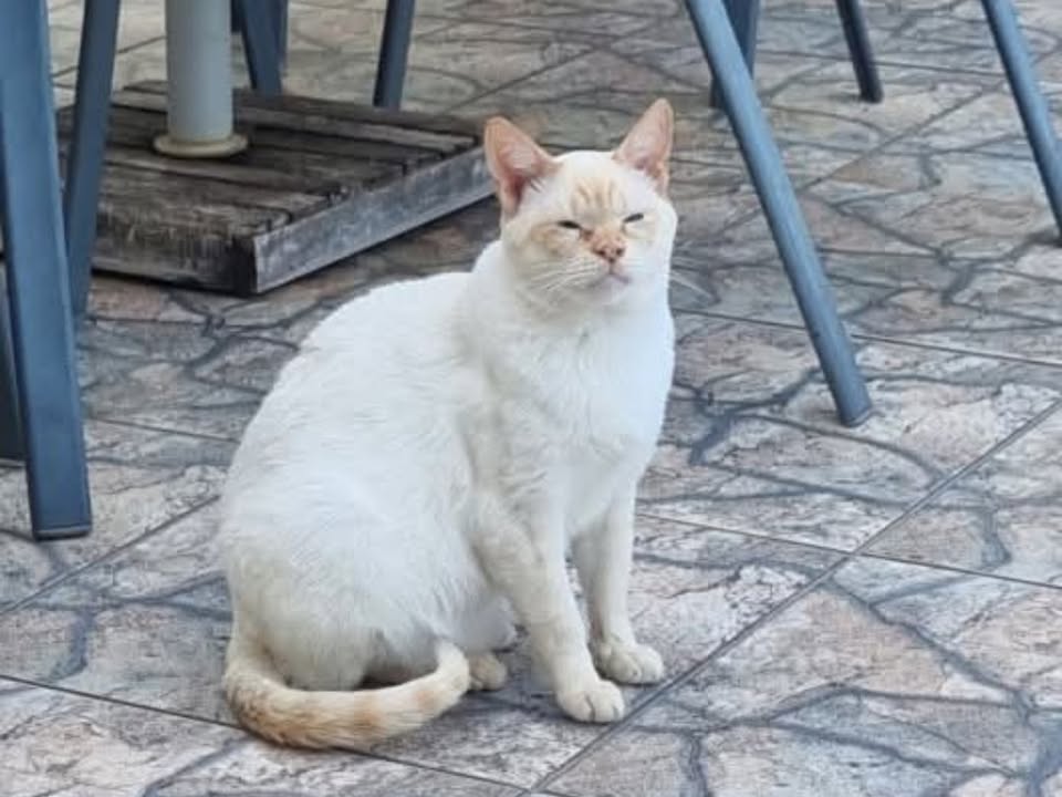 Foto de Tino