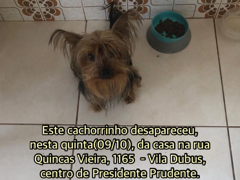 Foto de Luky