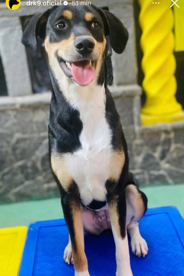 Foto de Judite
