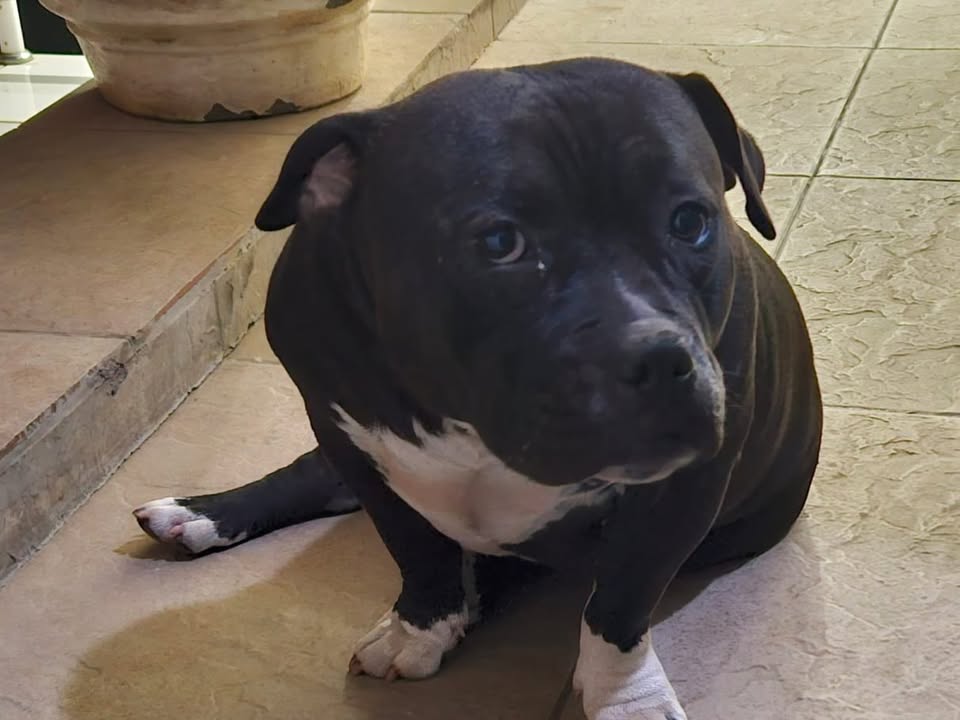 Foto de Fiona