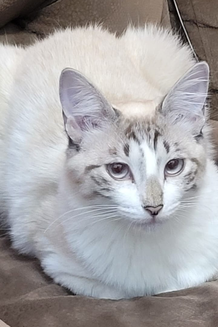 Foto de Marie