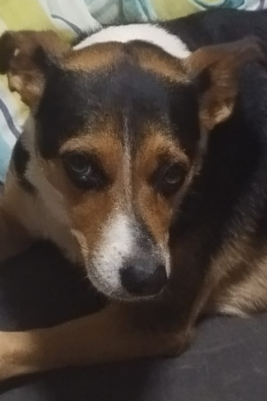 Foto de LALA
