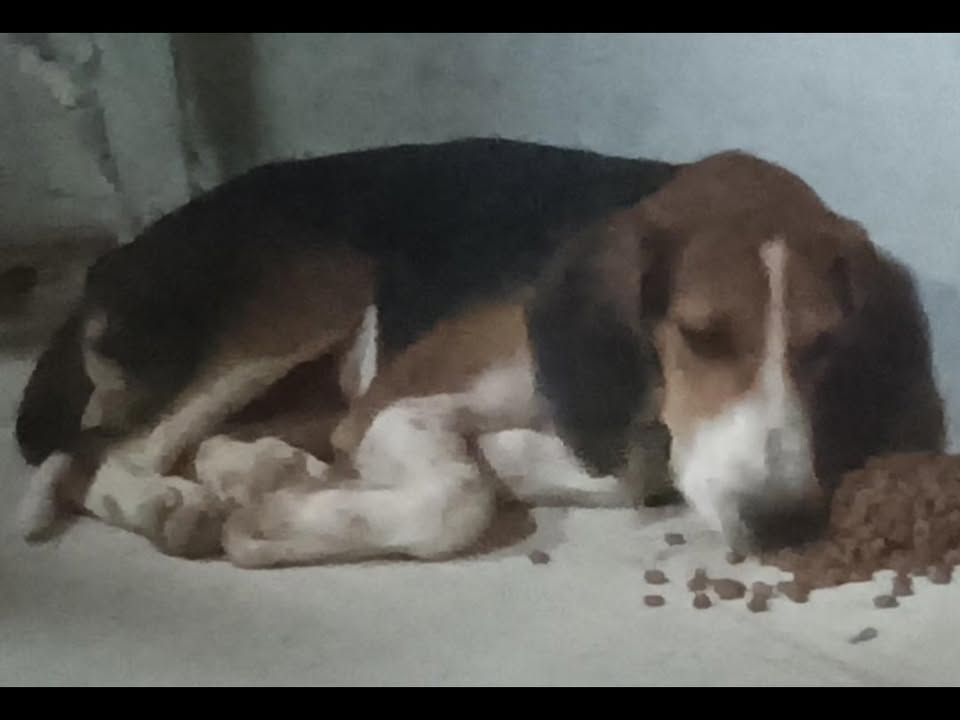 Foto de Baruque