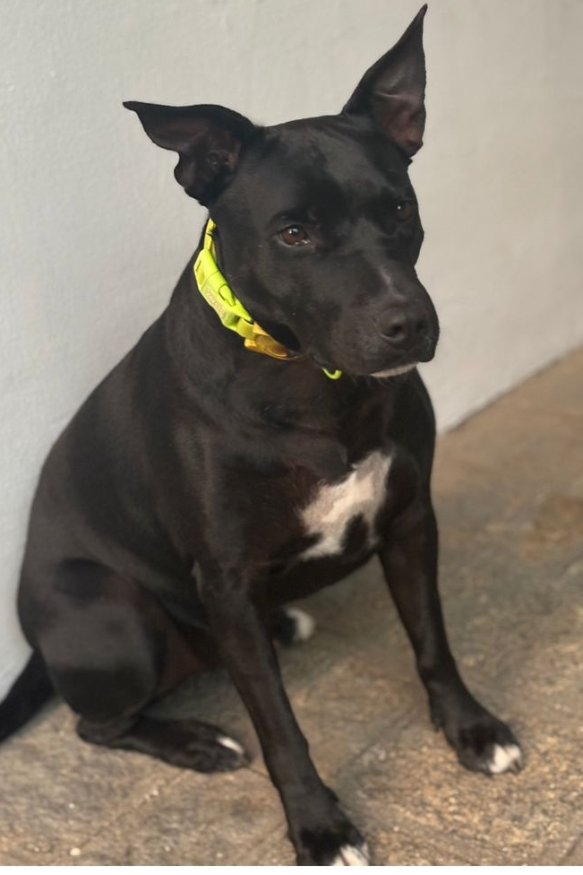 Foto de Romeu