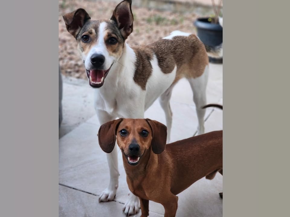 Foto de Romeu E Julieta