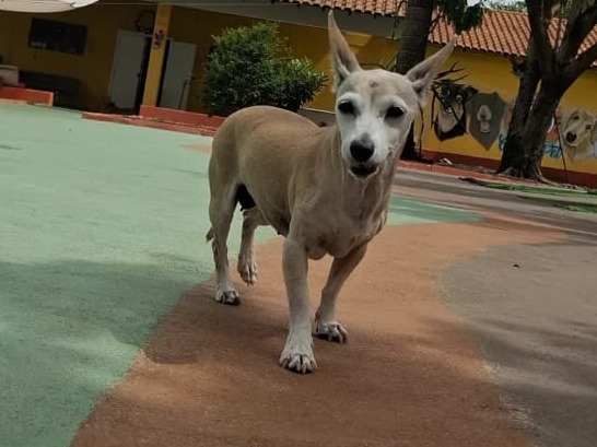 Foto de Kika