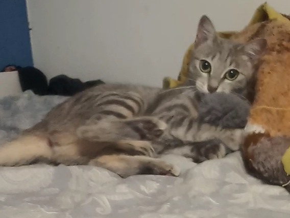 Foto de Menina